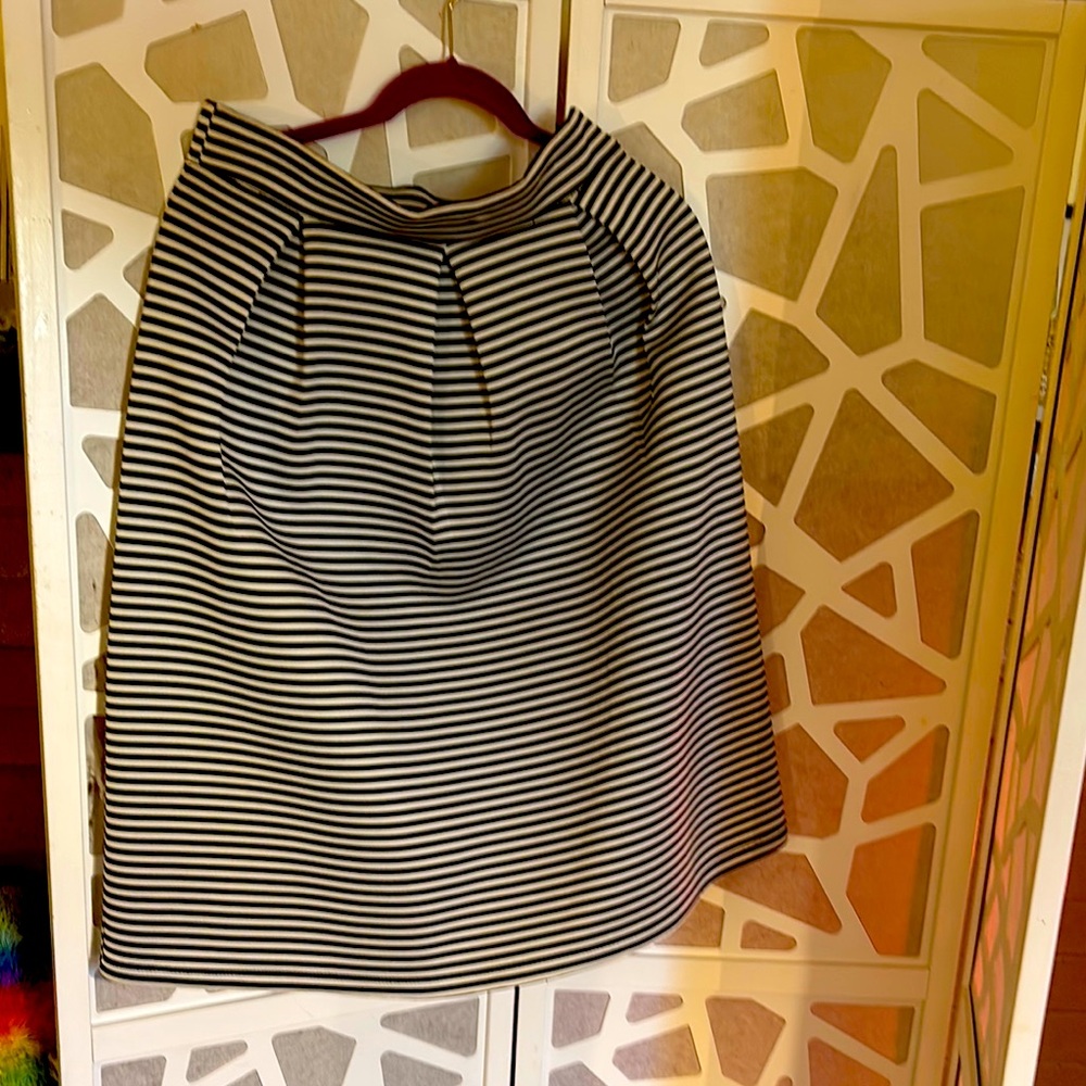 Classic Black and White Striped Skirt